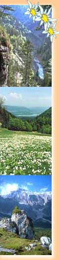 Ferienwohnung am Wolfgangsee in Österreich von privat zu vermieten